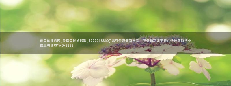 麻豆视频 更新：麻豆传媒官网_关键词过滤提取_1