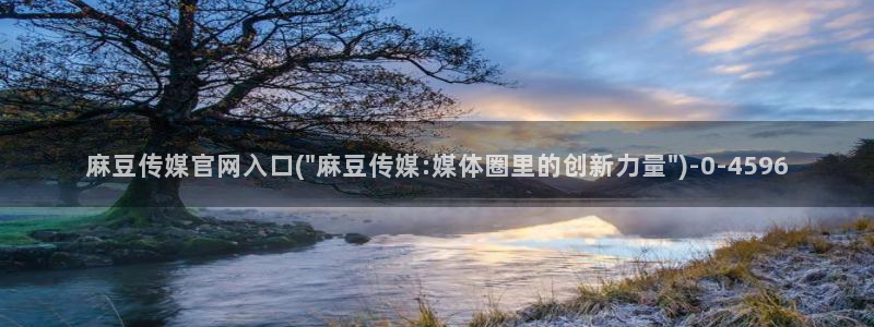 麻豆视频精选专区：麻豆传媒官网入口(\