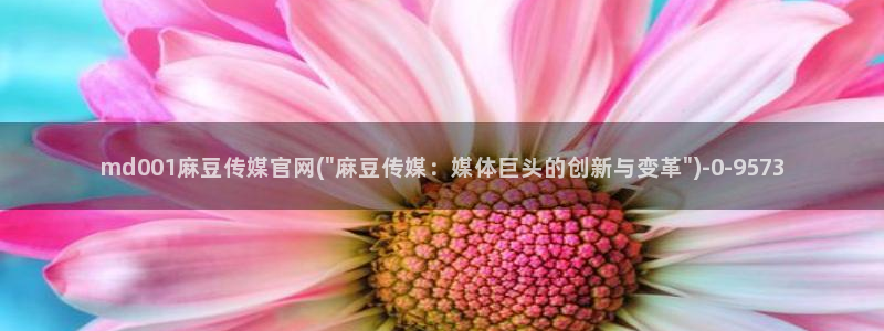 麻豆视频 高清推荐：md001麻豆传媒官网(\