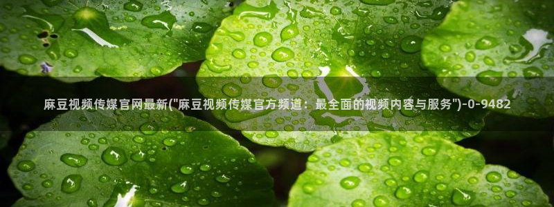 麻豆入口专区：麻豆视频传媒官网最新(\