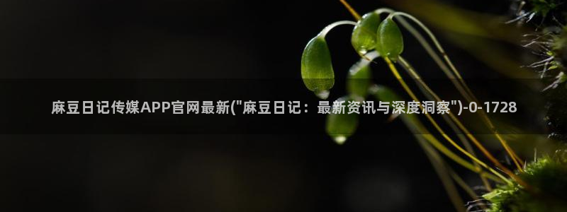 麻豆视频 精选：麻豆日记传媒APP官网最新(\