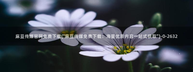 麻豆视频内容最新：麻豆传媒官网免费下载(\