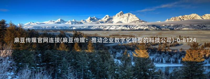 麻豆 最新：麻豆传媒官网连接(麻豆传媒：推动企业