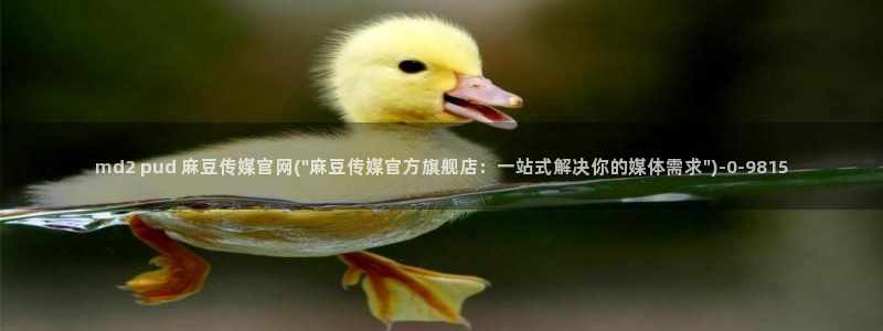 麻豆视频 专区更新：md2 pud 麻豆传媒官网(\