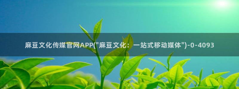 麻豆最新导航：麻豆文化传媒官网APP(\