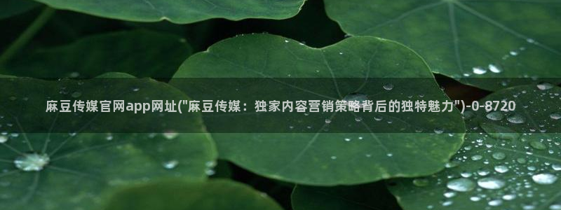 麻豆视频推荐完整版：麻豆传媒官网app网址(\