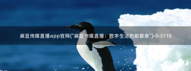 麻豆视频图集导航：麻豆传媒直播app官网(\