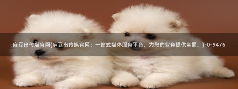 麻豆入口合集：麻豆出传媒官网(麻豆出传媒官网：一站式