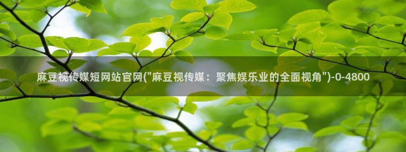 麻豆视频更新下载：麻豆视传媒短网站官网(\