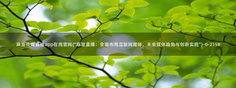 麻豆视频完整版导航：麻豆传媒直播app在线官网(\