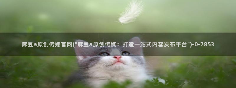 麻豆视频 下载在线看：麻豆a原创传媒官网(\
