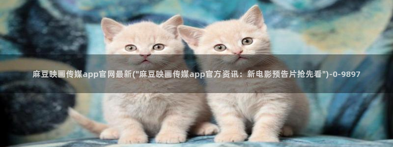 麻豆视频 合集专区：麻豆映画传媒app官网最新(\