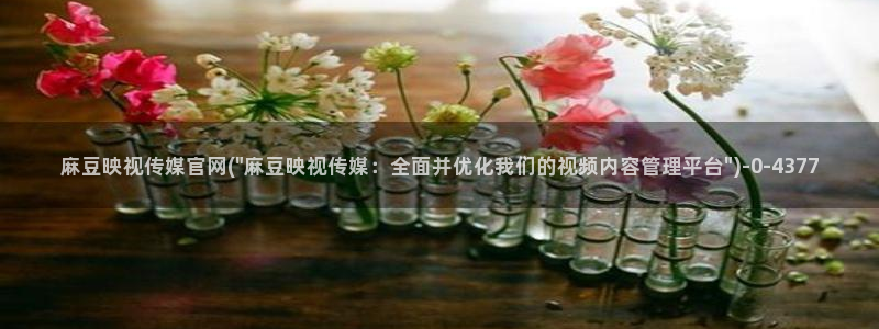 麻豆视频短片推荐：麻豆映视传媒官网(\