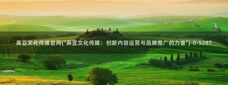 麻豆 合集入口