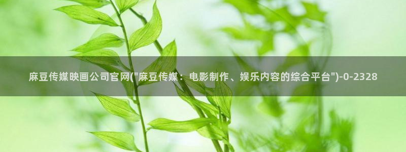 麻豆视频完整版整理：麻豆传媒映画公司官网(\
