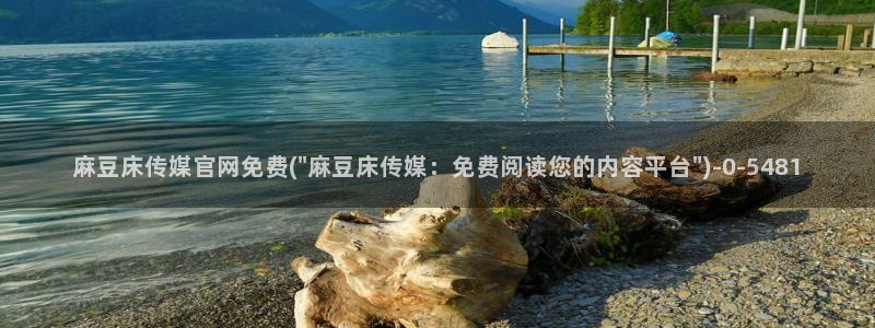 麻豆视频 专区专区