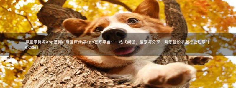 麻豆在线看导航：麻豆床传媒app官网(\