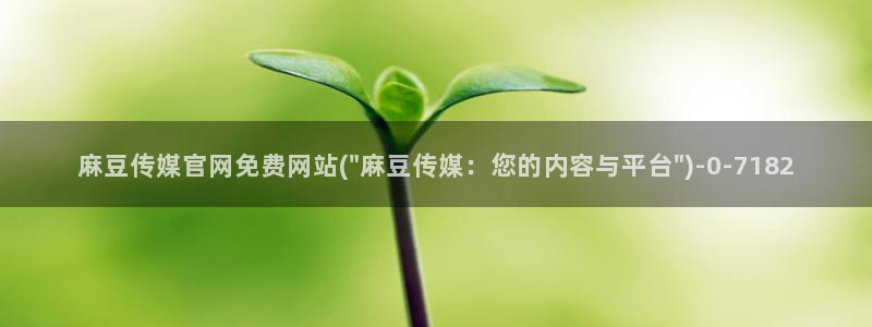 麻豆视频 资源推荐：麻豆传媒官网免费网站(\
