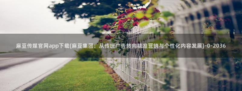 麻豆视频 精选专区：麻豆传媒官网app下载(麻豆集团：从传统广告转向精准营销与个性化内容发展)