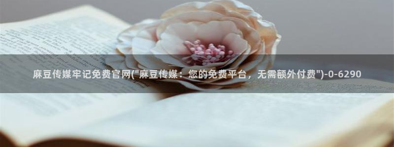 麻豆 资源下载