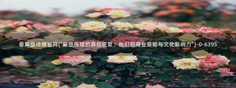 麻豆视频专区专区