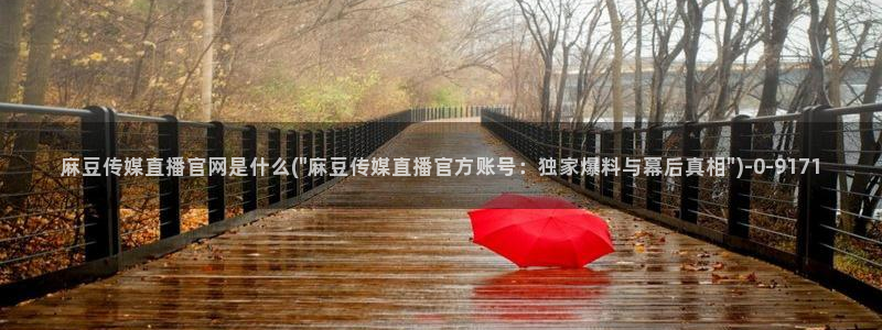 麻豆 精选整理：麻豆传媒直播官网是什么(\