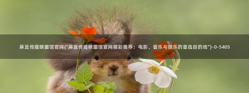 麻豆 更新：麻豆传媒映画馆官网(\