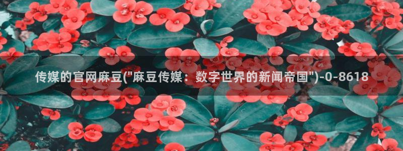麻豆视频下载合集